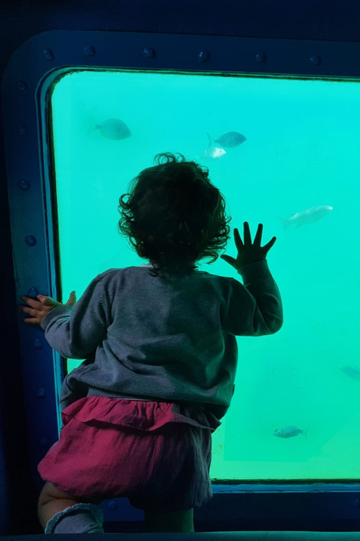 Sesimbra: Family Friendly Boat Sea Tour w/ Submarine Vision - Why the APNEA makes this Sesimbra tour different
