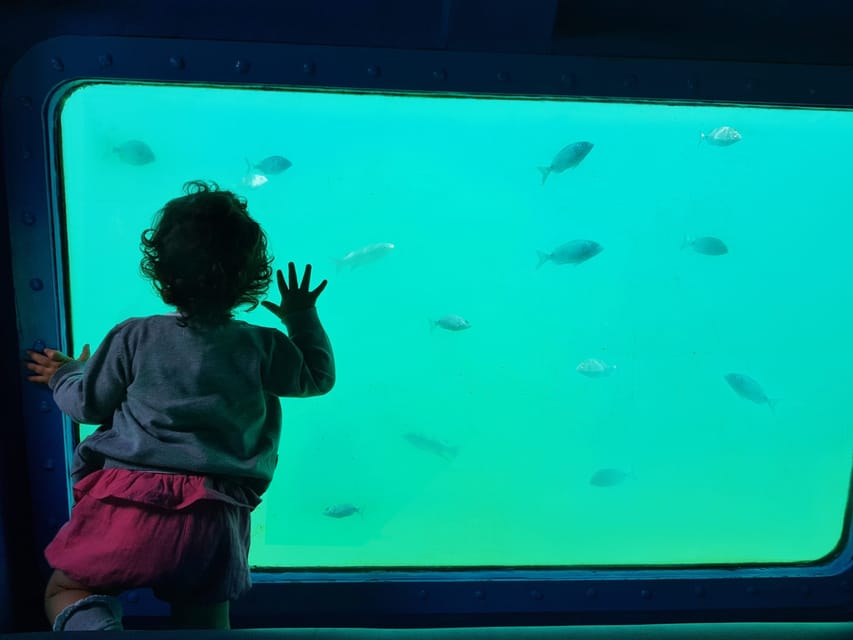 Sesimbra: Family Friendly Boat Sea Tour w/ Submarine Vision - Ribeira do Cavalo and the coast’s clearest water