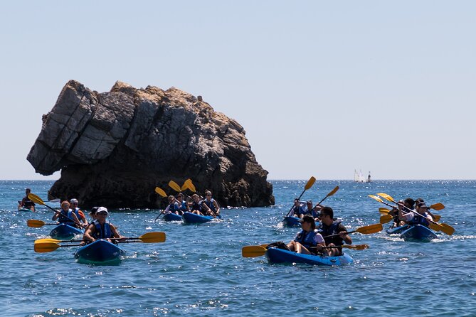 Sesimbra : Guided Kayak Tour in Arrábida Natural Park & Caves - Why the Arrábida coast works so well by kayak
