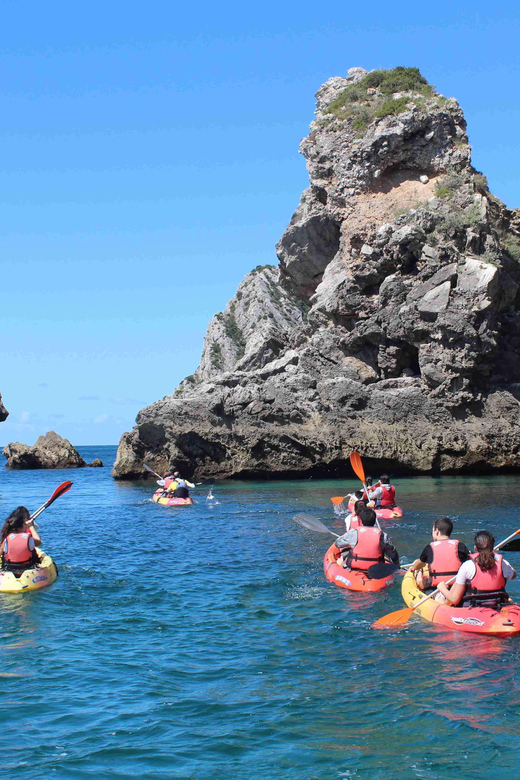 Sesimbra: Ribeiro Cavalo Beach, Caves, & Arrábida Kayak Tour - Price, timing, and what you receive for $44