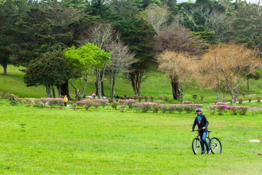 Sete Cidades: Kayaking and Biking Adventure - Small details that make the day better