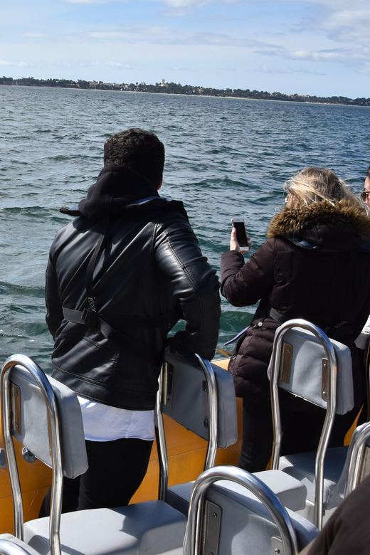 Setúbal and Tróia: Dolphin Watching and Arrábida Bays - Starting in Setúbal or Tróia