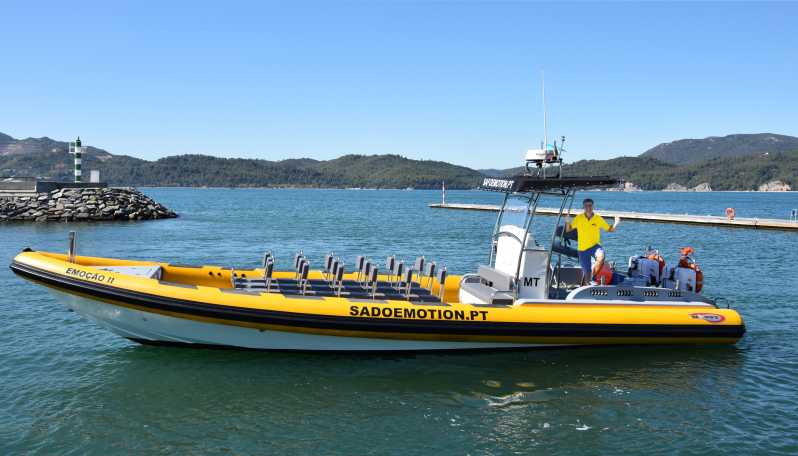 Setúbal and Tróia: Dolphin Watching and Arrábida Bays - A fast tour of Arrábida’s bays