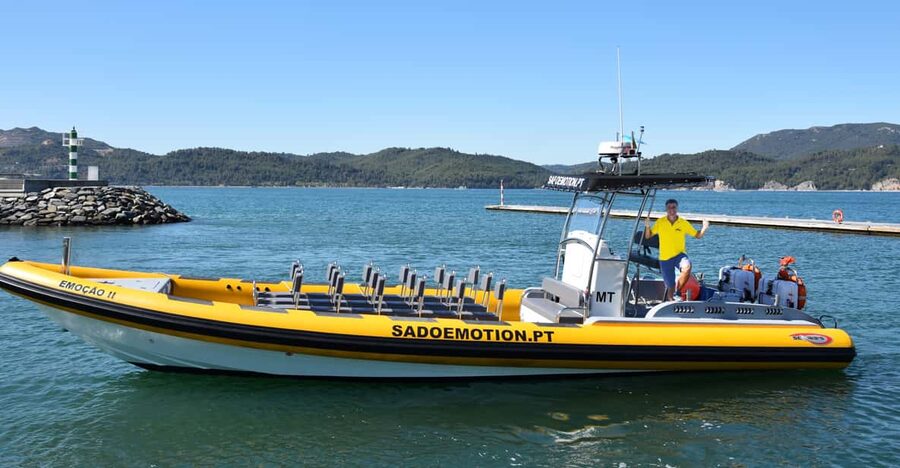 Setúbal and Tróia: Dolphin Watching and Arrábida Bays - Forts, convent, and views from the water
