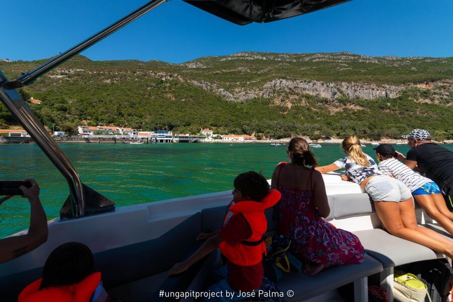 Setúbal: Dolphin Watching Boat Tour - Key points at a glance