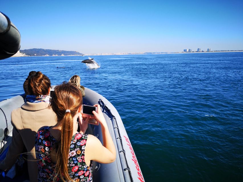Setúbal: Dolphin Watching Boat Tour - Is $53 good value for two hours?
