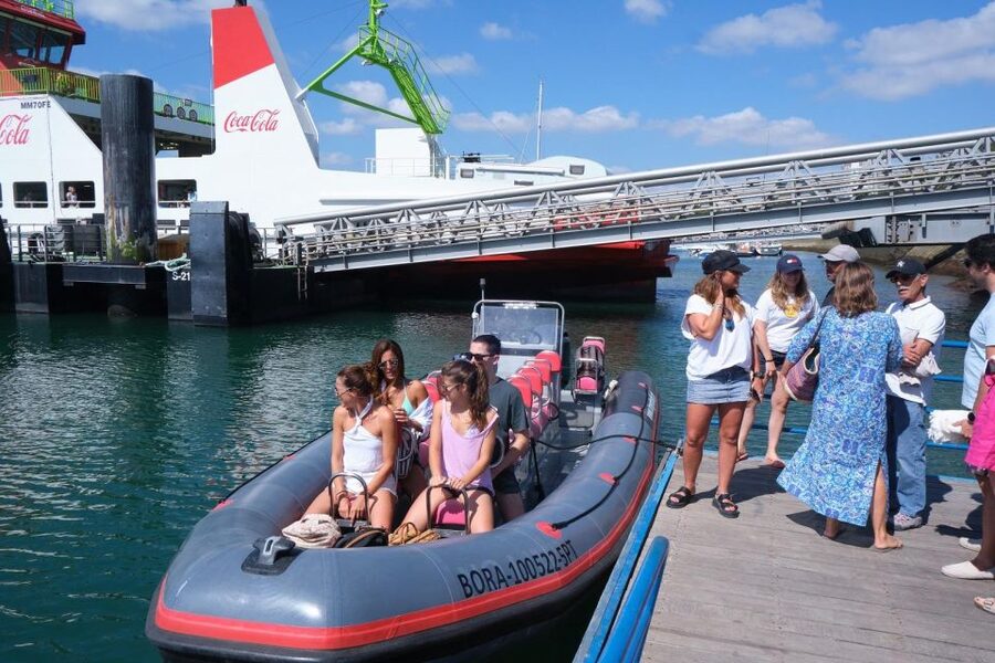 Setúbal: Dolphin-Watching Boat Tour - Is $43 a fair price?