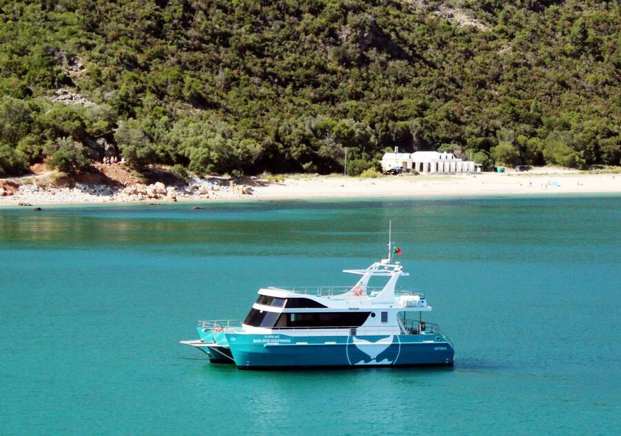 Setúbal: Dolphin Watching Tour - Meeting the catamaran behind the yellow clock tower