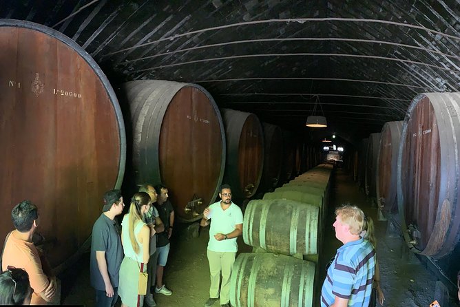 Setúbal Wine Tour with Visit and Tasting at 2 Wineries - The wine tasting: what you get for the price