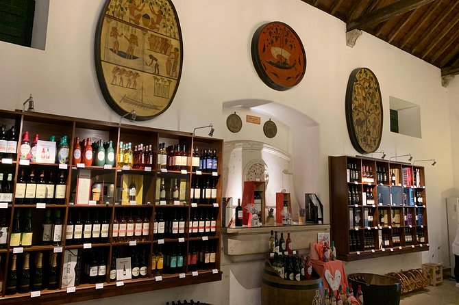 Setúbal Wine Tour with Visit and Tasting at 2 Wineries - Who should book this four-hour outing