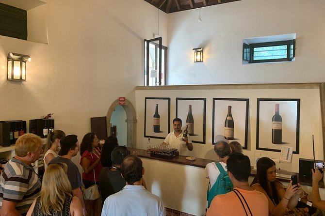 Setúbal Wine Tour with Visit and Tasting at 2 Wineries - Booking, timing, and cancellation details