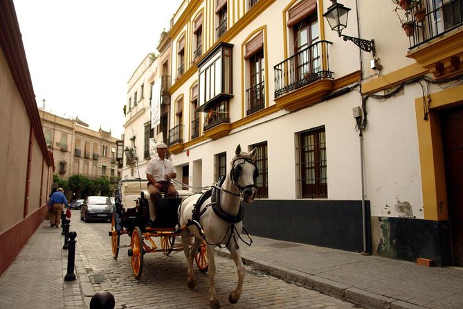 Seville Day Trip from the Algarve - How good is the guiding?