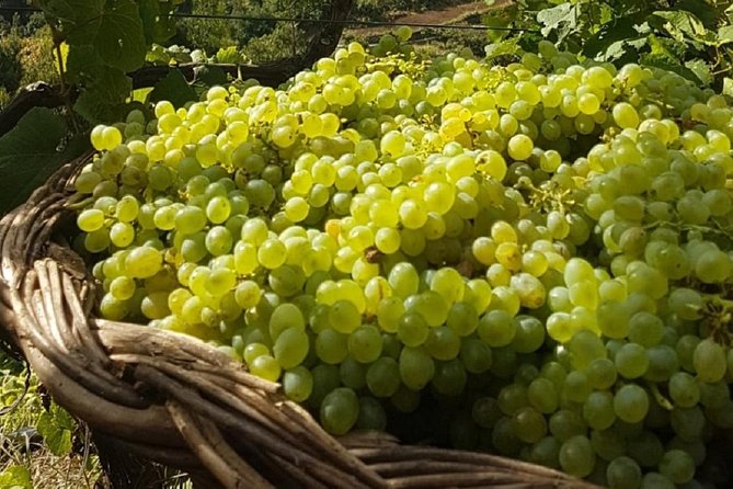 Signature Wine Tastings, Skywalk, Nature 4x4 Open Roof Expedition - Timing, pickup, and group size