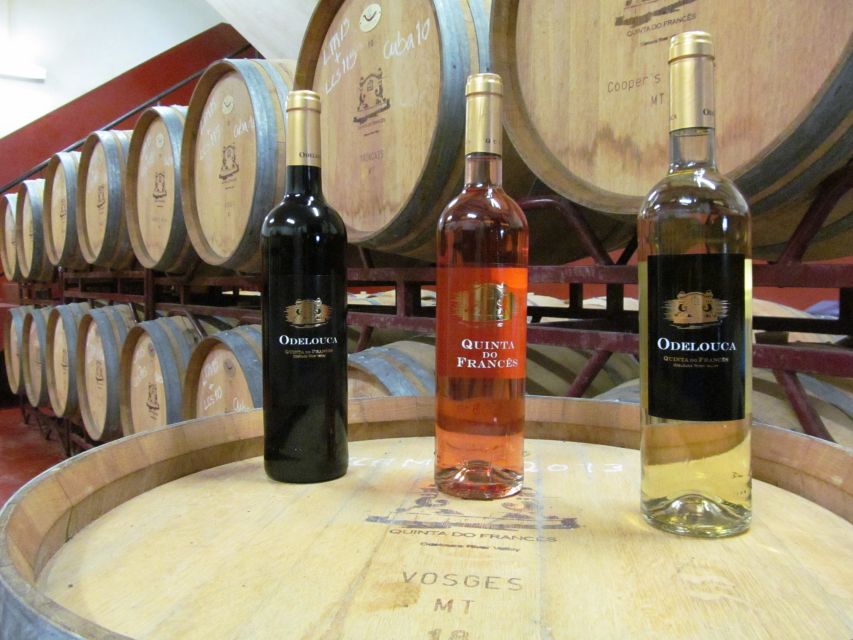 Silves, Caldas and Monchique Wine Tasting: Full Day Tour - A winery finish with local Portuguese wines