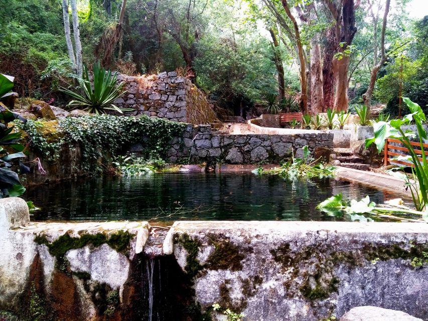 Silves, Caldas and Monchique Wine Tasting: Full Day Tour - Who should book this Algarve day tour?