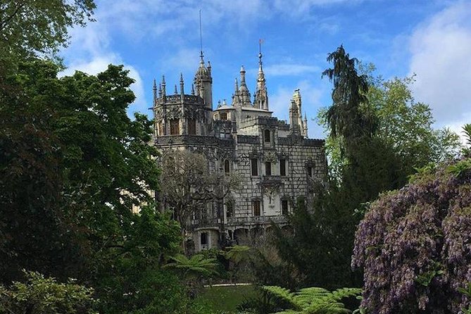 Sintra Jeep Safari - Praia da Adraga brings sand and sea air