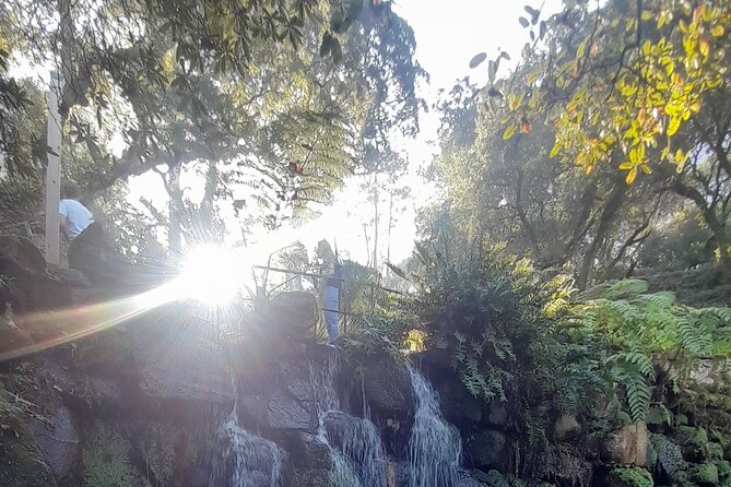 Sintra Private Tour 2 Palaces Roca Cascais Tailored up to 7 - Boca do Inferno near Cascais