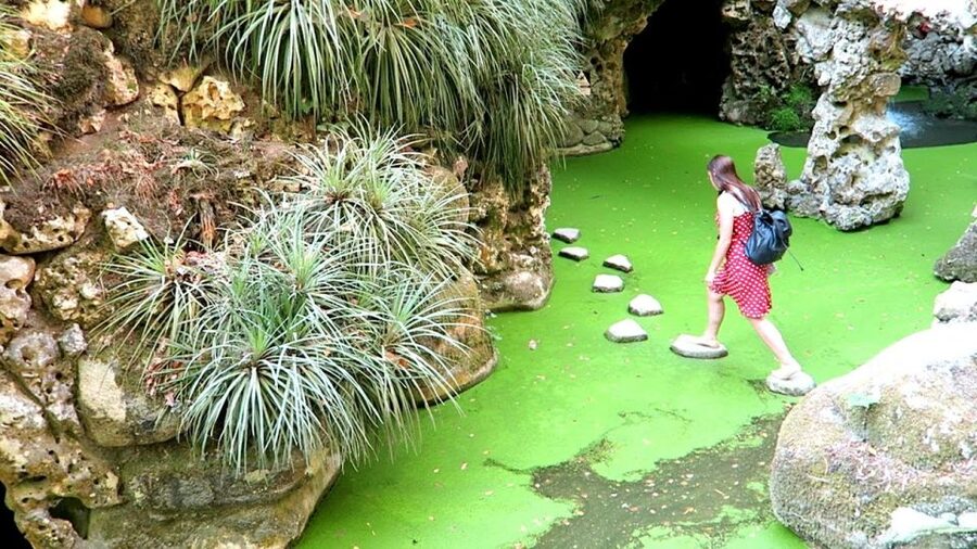 Sintra: Quinta da Regaleira Entry Ticket and Guided Tour - My recommendation