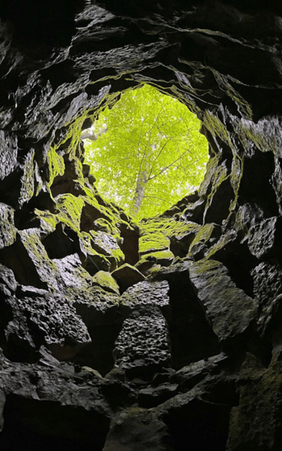 Sintra: Quinta da Regaleira Entry Tickets with Host - The wells and underground features
