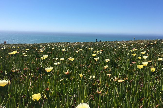 Sintra Tour with Pena Palace and Regaleira All Tickets Included - Cabo da Roca adds Portugal’s Atlantic edge