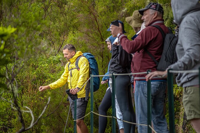 Skywalk 4x4 Experience and Rabacal 25 Fountains Levada Walk - A full day from Funchal into Madeira’s mountains