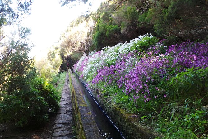 Skywalk 4x4 Experience and Rabacal 25 Fountains Levada Walk - Lunch at a Madeiran restaurant