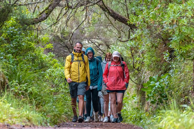 Skywalk 4x4 Experience and Rabacal 25 Fountains Levada Walk - The 800-meter tunnel you need to prepare for