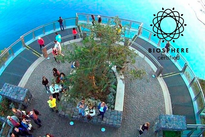 Skywalk, Amazing Views & Wine Tasting in Open Roof 4x4 Adventure - Why this 4x4 tour works so well in Madeira