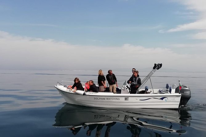 Small Group Dolphin and Wildlife Watching Tour in Faro - Key points to know before booking