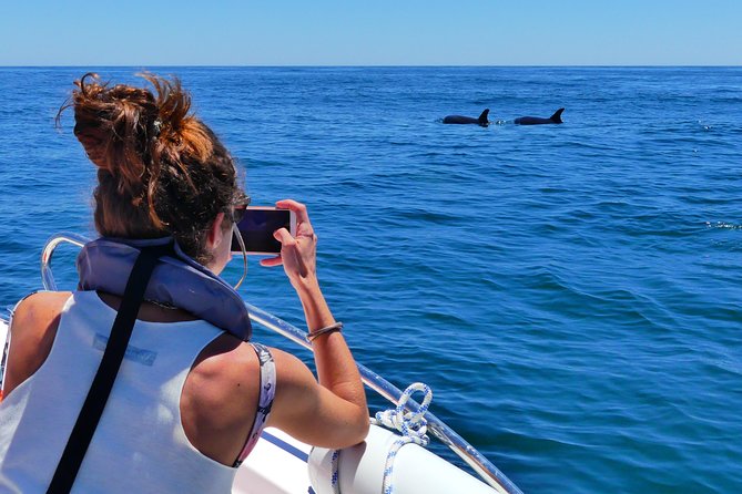 Small Group Dolphin and Wildlife Watching Tour in Faro - Why the early start is worth it