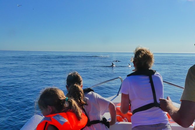 Small Group Dolphin and Wildlife Watching Tour in Faro - What the small RIB ride feels like