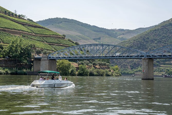 Small Group Douro Valley Wine Tour with Lunch and Cruise - Why this Douro Valley tour works well from Porto