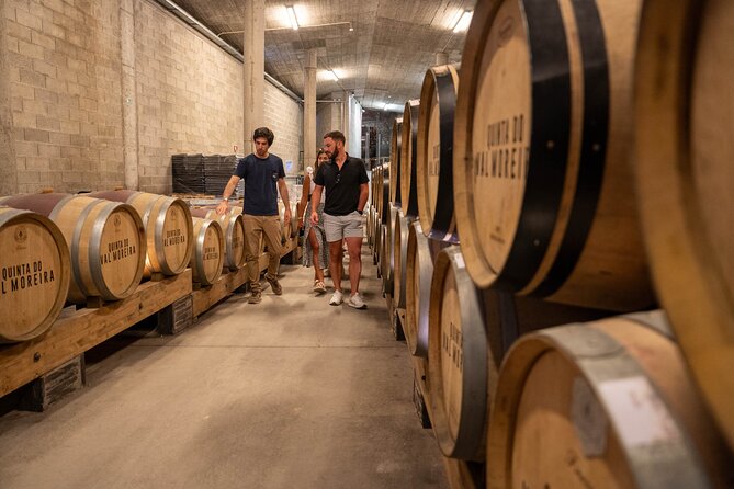 Small Group Douro Valley Wine Tour with Lunch and Cruise - Second estate: Port styles and a different atmosphere