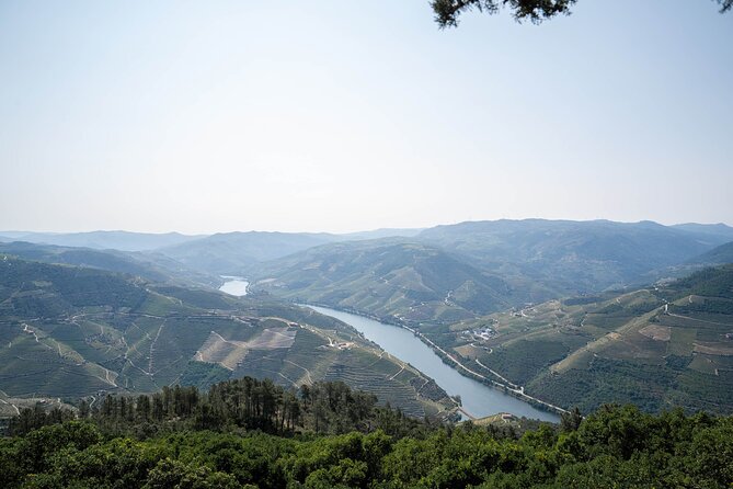Small Group Douro Valley Wine Tour with Lunch and Cruise - Is the lunch and wine value strong at $119.42?
