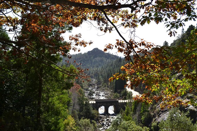 Small Group Geres National Park Full Day with picnic from Porto - Lunch: picnic promise, local meal in practice