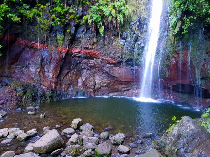Small Group Walks Rabaçal 25 Fontes - Is $53 good value for Madeira?