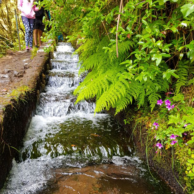 Small Group Walks Rabaçal 25 Fontes - Why the Rabaçal 25 Fontes route is so special