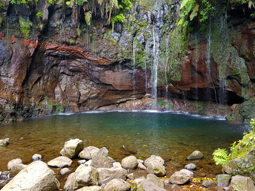 Small Group Walks Rabaçal 25 Fontes - Following the levada through Laurissilva forest