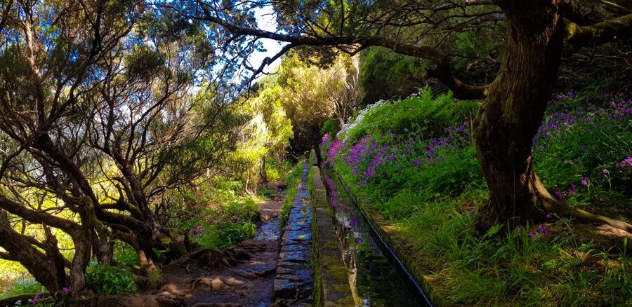 Small Group Walks Rabaçal 25 Fontes - The 25 Fontes waterfall and lagoon