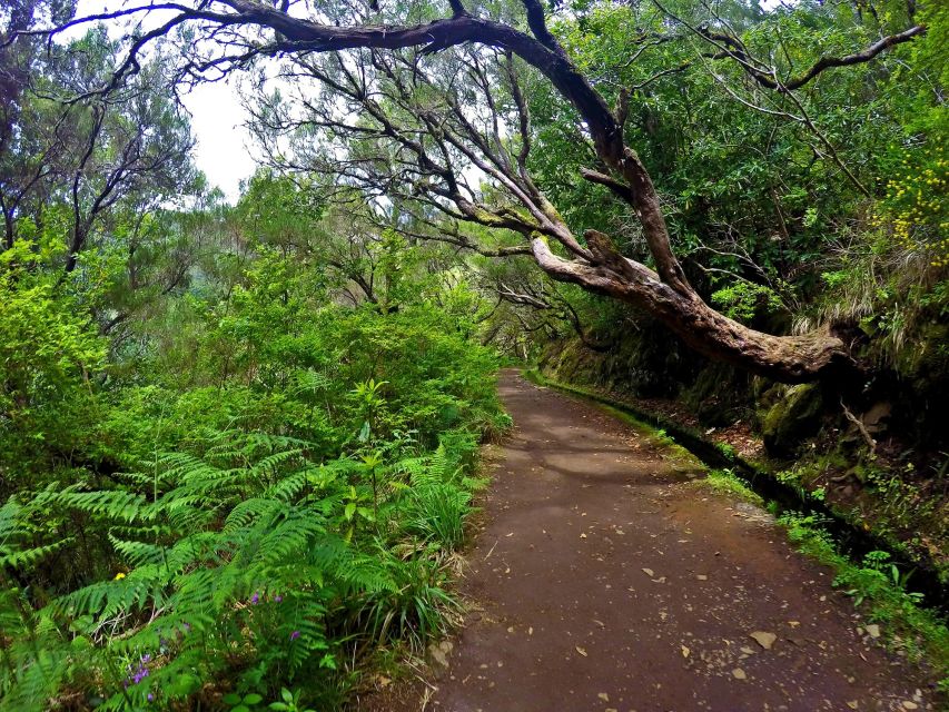 Small Group Walks Rabaçal 25 Fontes - What the guide adds to the walk