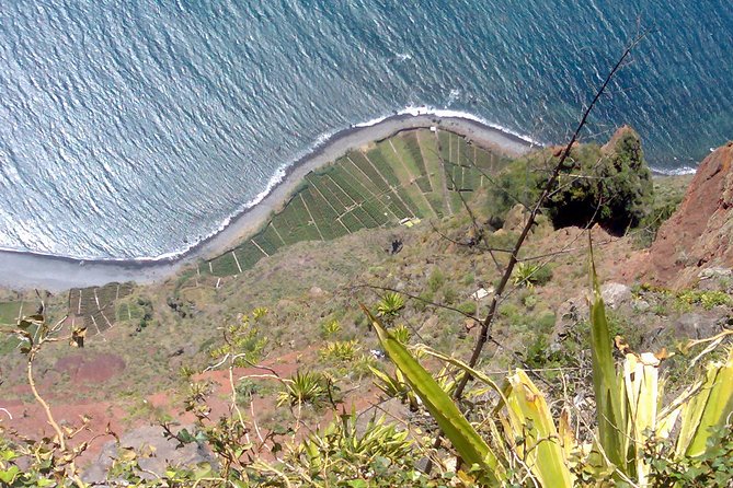 Small Group West Tour Waterfalls & Fanal Forest Tour - Ribeira Brava, a useful coffee break