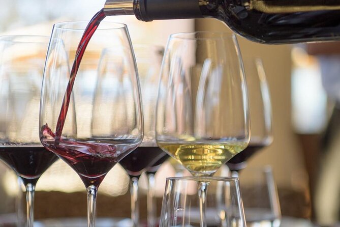 Small group Wine Tasting Tour from Lagos - What you will learn about Algarve wine