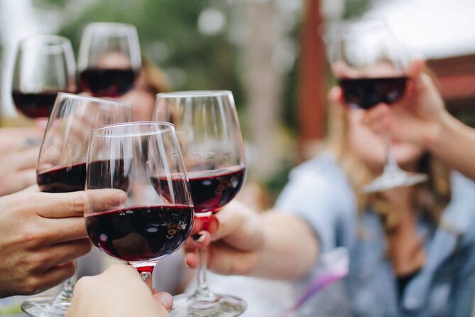 Small group Wine Tasting Tour from Lagos - Is $78.64 a fair price?