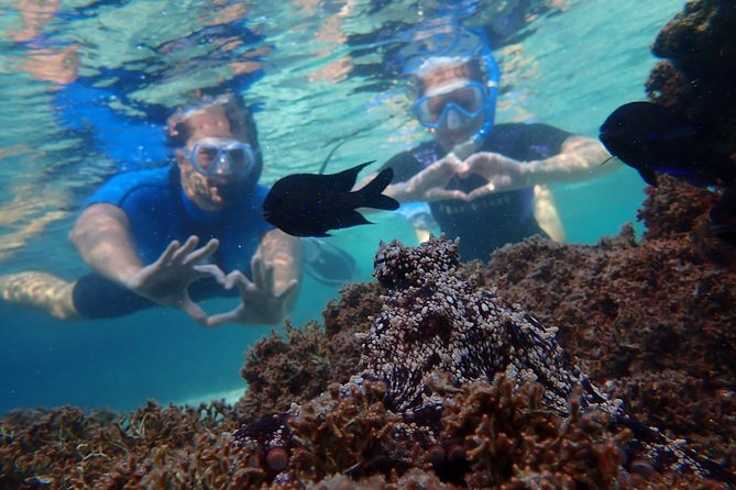 Snorkeling Tour - Why beginners will get the most from this outing