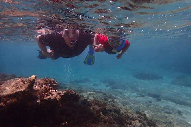 Snorkeling Tour - Equipment, transport, and what the price covers