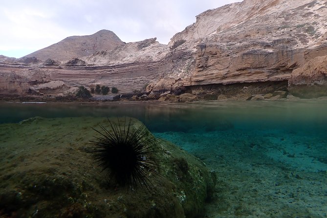 Snorkeling Tour - Weather and cancellation details to keep in mind