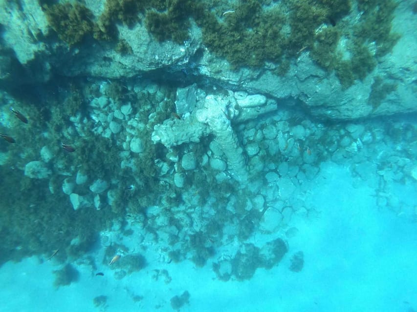 Snorkeling Tour- Vila Franca do Campo Islet - How much time do you really get?