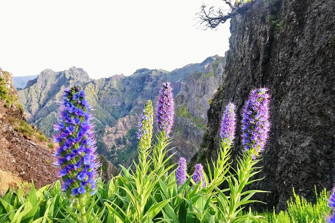 Sunrise Guided Hike PR1 Pico do Areeiro Pico Ruivo small group - Why this sunrise hike is special