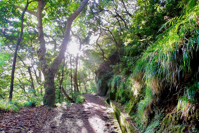 Sunrise Tour @ Pico Do Areiro | Half Day 4x4 Tour - The weather gamble at Madeira’s high peaks