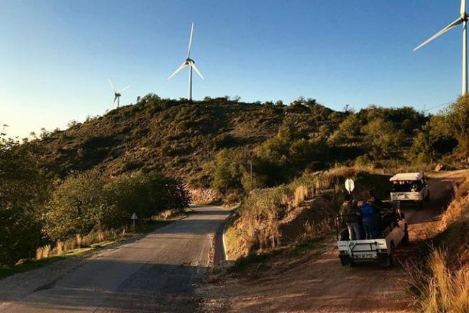 Sunset Jeep Safari with Dinner in Algarve - Dinner in a typical restaurant